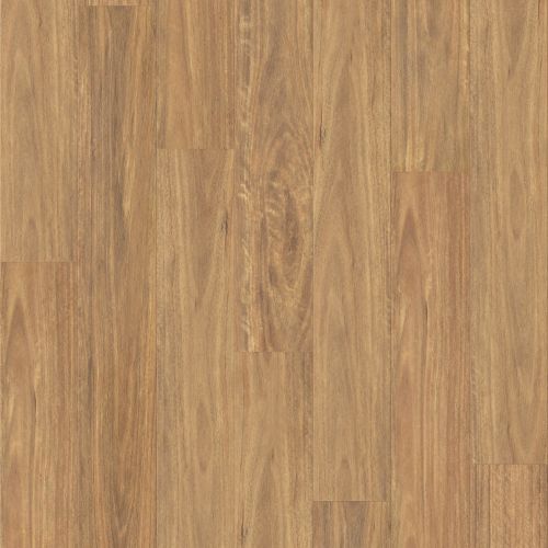 Classic L8 03 Spotted Gum